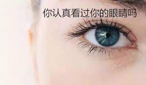 杏宇代理待遇, 鳳凰杏宇代理主管,