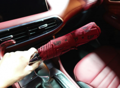 <strong>杏宇官網除了勞斯萊斯在買車送雨傘外，還有它</strong>