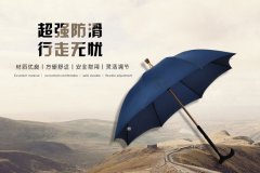 <strong>杏宇怎么注冊分離式拐杖傘-可根據您的身高調節</strong>