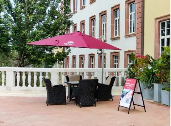 鳳凰杏宇的我, 杏宇平臺(tái)代理,