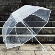 <strong>杏宇我愿做一把雨傘，為你遮風擋雨</strong>