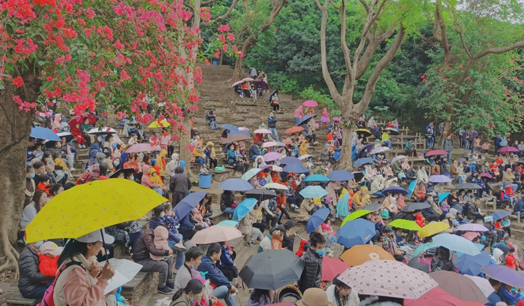 鳳凰杏宇平臺, 杏宇平臺500平臺,