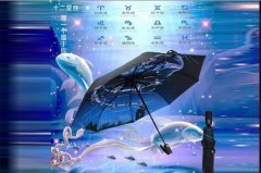 <b>杏宇登陸星座三節自動傘 yk-SJZD91</b>