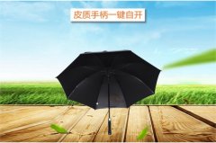 <b>杏宇登陸皮質手柄傘 yk-GEFS366</b>